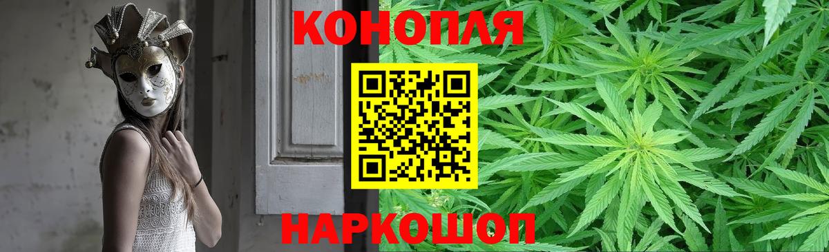 Каннабис OG Kush Минеральные Воды